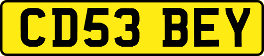 CD53BEY
