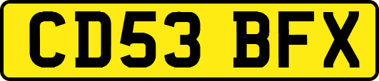 CD53BFX