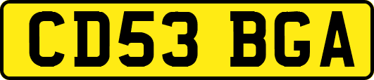 CD53BGA