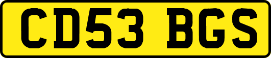 CD53BGS