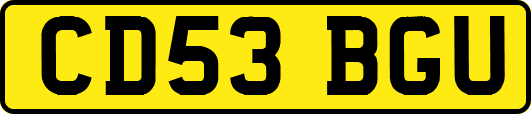 CD53BGU