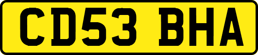 CD53BHA