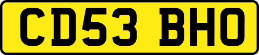CD53BHO