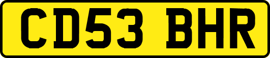 CD53BHR