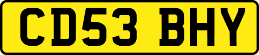CD53BHY