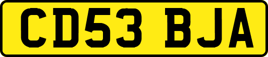 CD53BJA