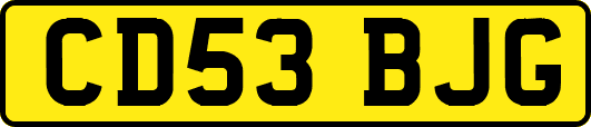 CD53BJG