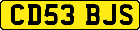 CD53BJS