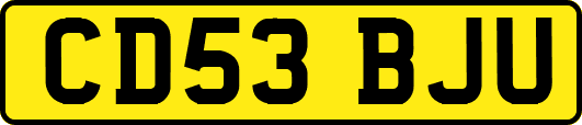 CD53BJU