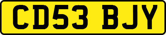 CD53BJY