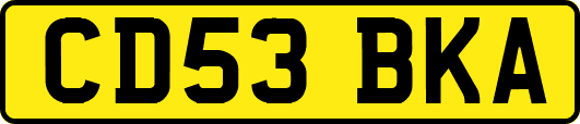 CD53BKA