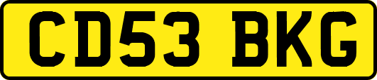 CD53BKG