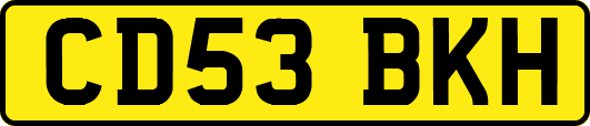 CD53BKH