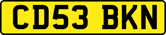 CD53BKN
