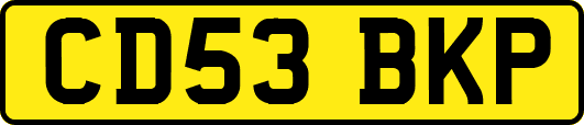 CD53BKP
