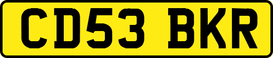 CD53BKR