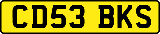 CD53BKS