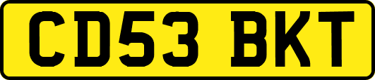 CD53BKT
