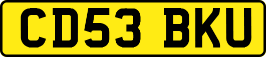 CD53BKU