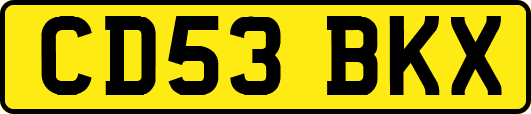 CD53BKX