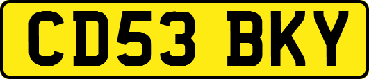 CD53BKY