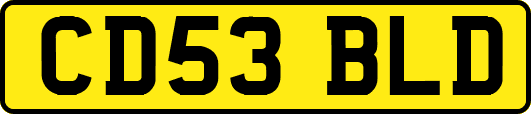 CD53BLD