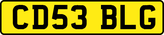 CD53BLG