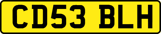 CD53BLH