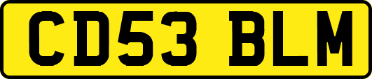 CD53BLM