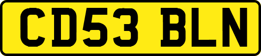 CD53BLN