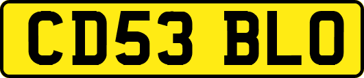 CD53BLO