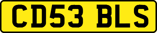 CD53BLS