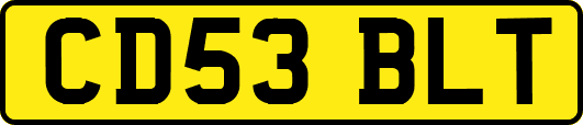 CD53BLT
