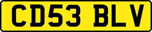 CD53BLV