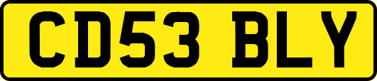 CD53BLY