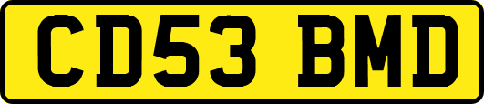 CD53BMD