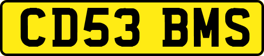 CD53BMS