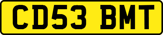 CD53BMT