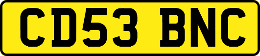 CD53BNC