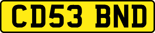 CD53BND