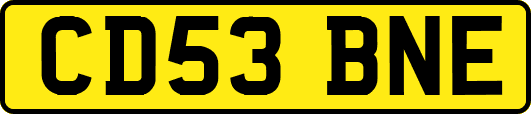 CD53BNE
