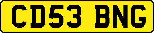 CD53BNG