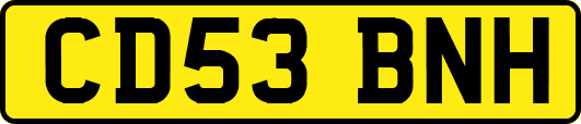 CD53BNH