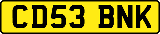 CD53BNK