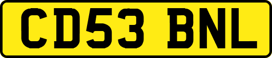 CD53BNL