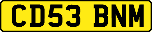 CD53BNM