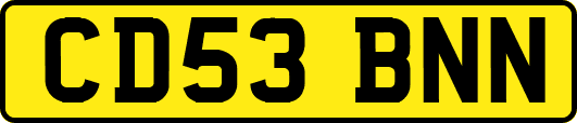 CD53BNN