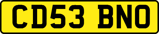 CD53BNO