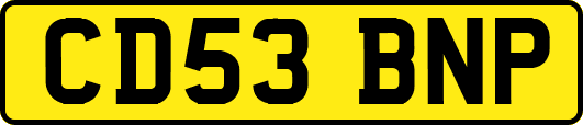 CD53BNP