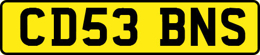 CD53BNS